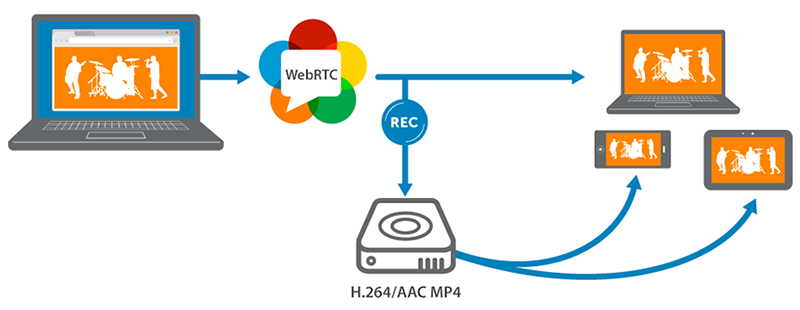 What is WebRTC